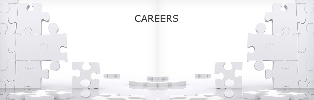Scope Career